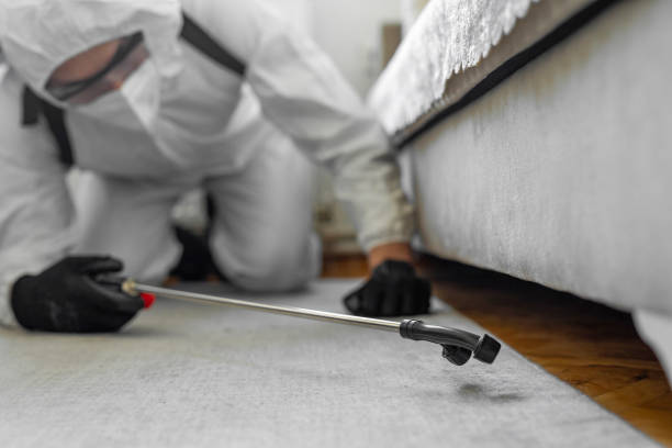 Professional Ant Control technician working in Hamilton County County, IL